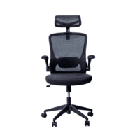 Cadeira De Escritório Giratória Preta Gênesis Owl -NAC