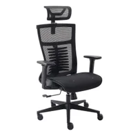 Cadeira De Escritorio Ergonômica Elements Vertta Pro, Até 150Kg, Preto - 70046 -NAC