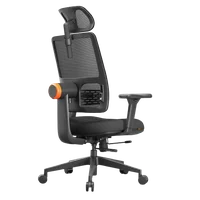 Cadeira Ergonômica Plus, Até 136Kg, Preto | INPRO -NAC