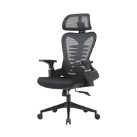 Cadeira Escritório Home Office Gamer Presidente Bio Ergonômica Suporte Lombar Cabeça Ajustável Sistema Relax Preto -NAC
