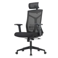 Cadeira Escritório Nr-17 Lugano Presidente C/ Braços Fratini Encosto Tela Mesh Preta Base Rodízio -NAC
